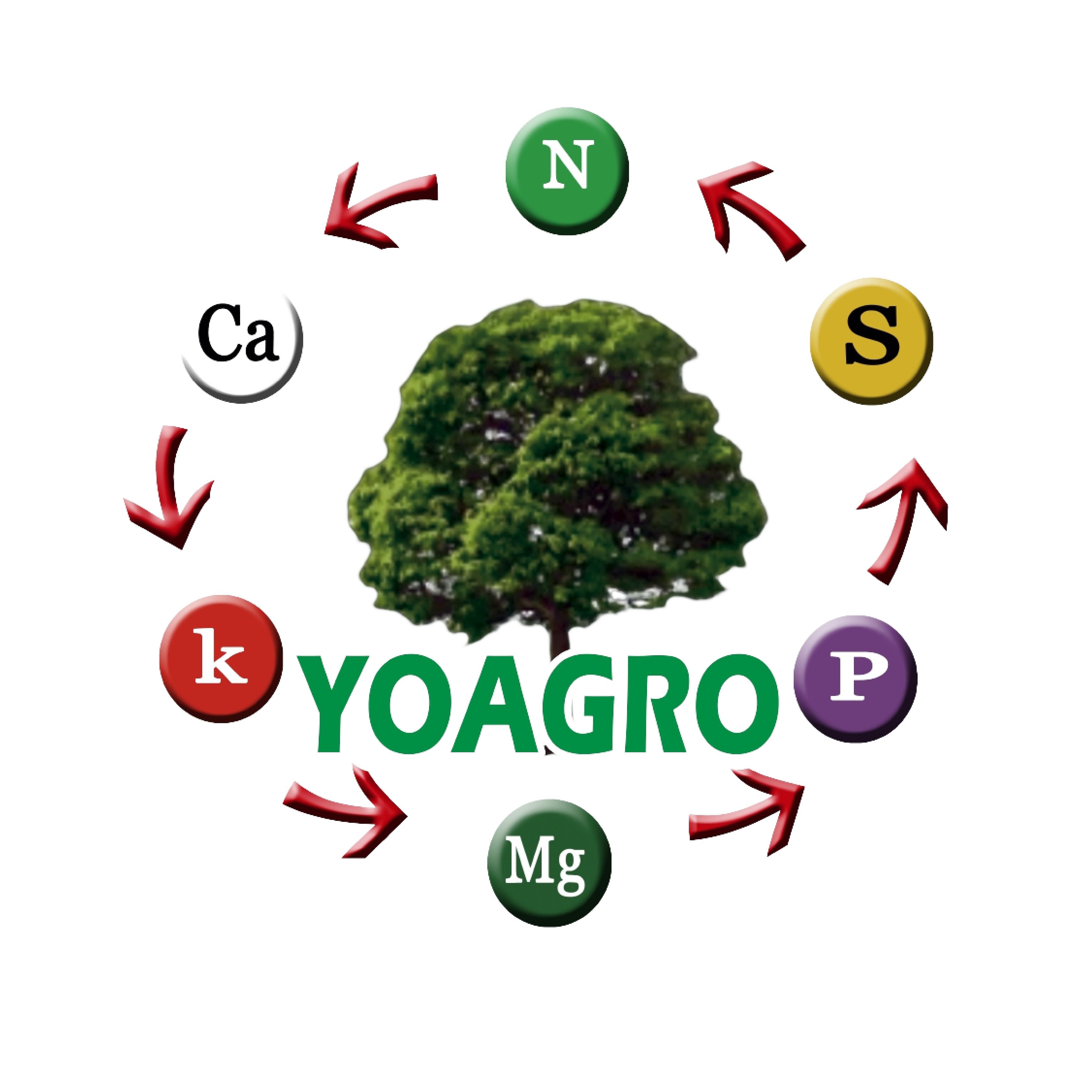 SERVICIOS GENERALES YO AGRO E.I.R.L.